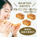 【国産・無添加】グルテンフリー食パン 590g 【3個セット　送料込】［まるも］ヴィーガン　国産米粉　K5乳酸菌　vegan