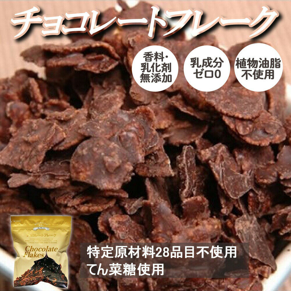 【アレルギー対応】チョコレートフレーク 100g 【辻安全食品】5歳頃～ グルテンフリー てんさい糖 チョコフレーク こ…