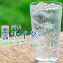 楽天自然食品ボンラスパイユ【セール！】【アレルギー対応】丹沢サイダー　250ml［創健社］むかし風サイダー　神奈川県丹沢山系水