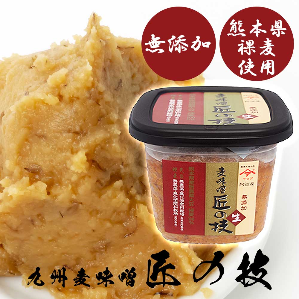 【無添加】九州大自然 匠の技 麦味噌 生 500g［ヤマア］阿波屋 カップ みそ