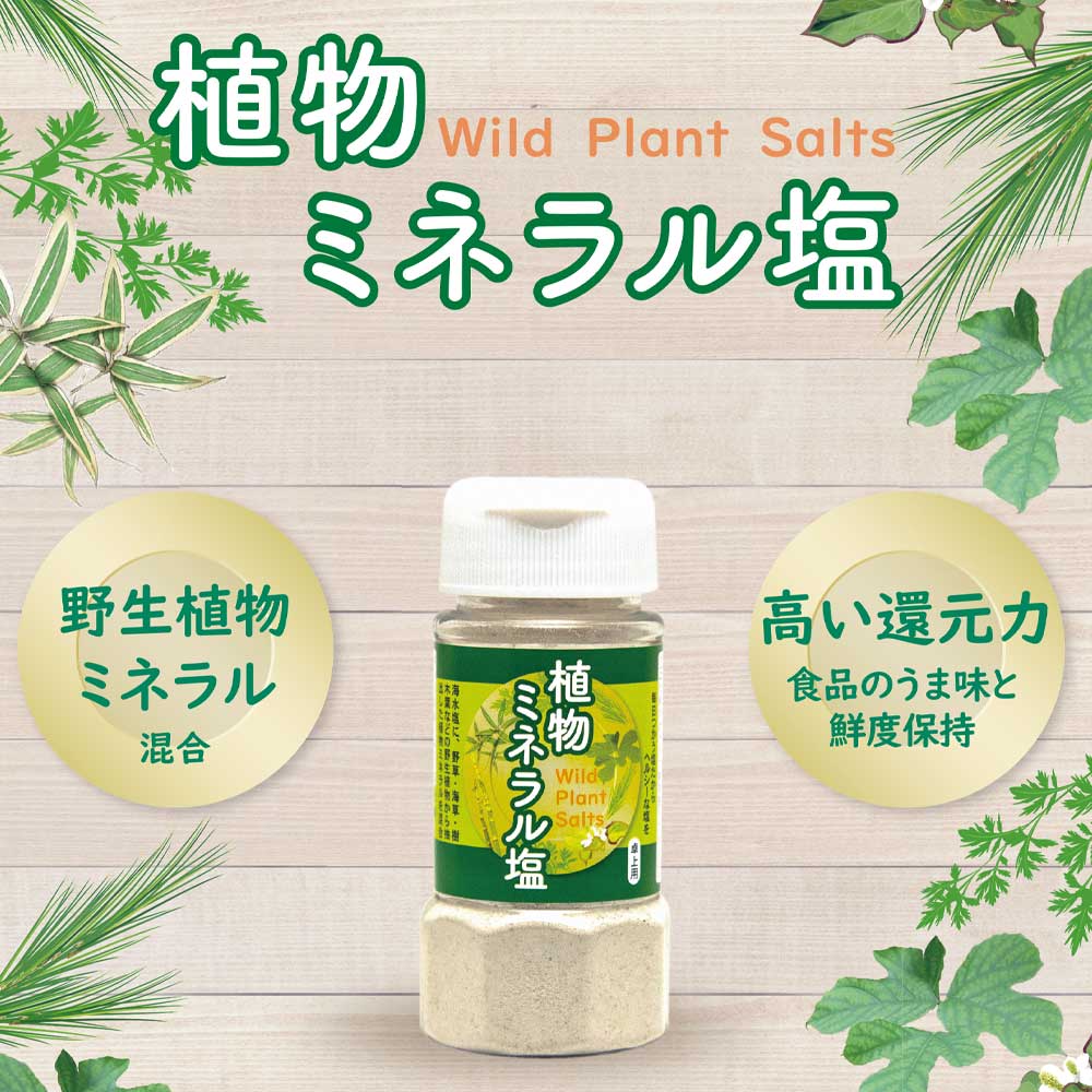 ＼クーポン配付中／ 【自然食品】植物ミネラル塩　120g［やつか］　野生植物ミネラル配合　高還元力　旨味・鮮度保持 1