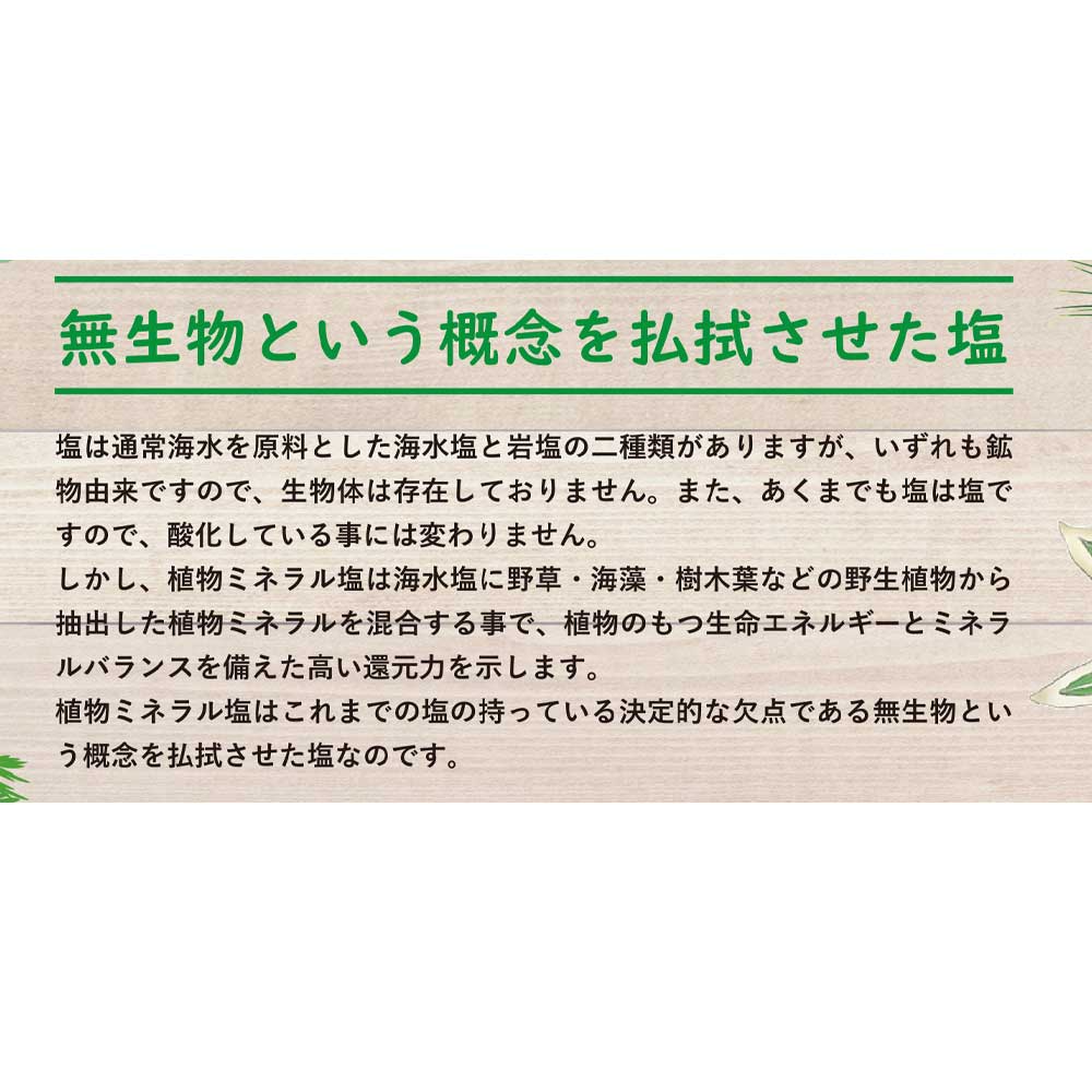 ＼クーポン配付中／ 【自然食品】植物ミネラル塩　120g［やつか］　野生植物ミネラル配合　高還元力　旨味・鮮度保持 2