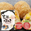 【国産・無添加】玄米ぱんこ 100g［桜井食品］岐阜産玄米100% 小麦・砂糖不使用 グルテンフリー パン粉 米粉