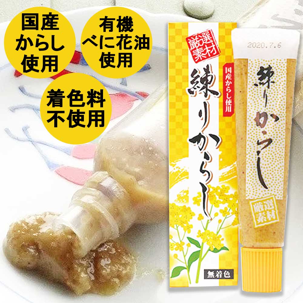 【国産・無添加】練りからし 40g［東京フード］ 有機原料使用 着色料不使用 チューブタイプ からし