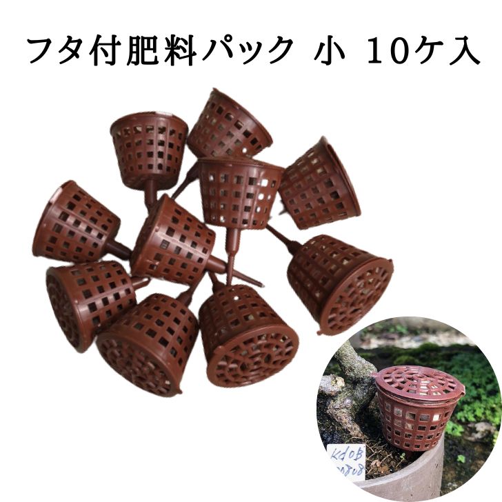 フタ付 肥料パック 小 10ケ入 盆栽 肥料容器 ミニ盆栽 観葉植物 肥料 1000円ポッキリ ポッキリ ぽっきり