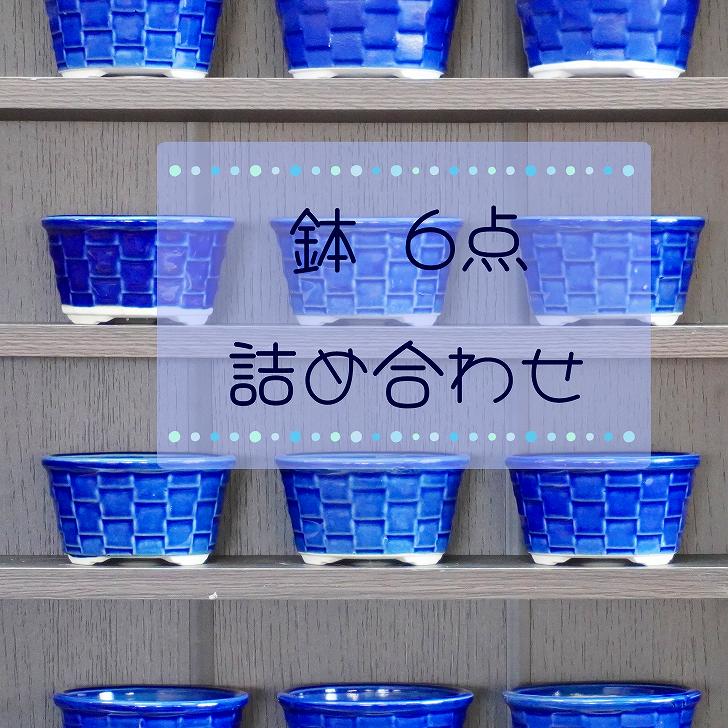 盆栽鉢 鉢 6点 詰め合わせ 小型 長辺 約9.8cm 丸鉢 釉薬 数量物 新品 1000円ポッキリ ポッキリ ぽっきり