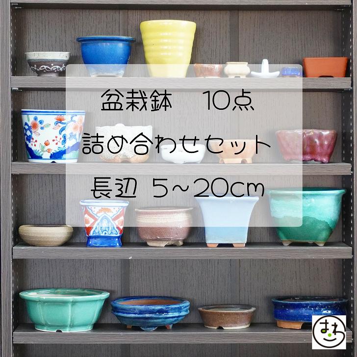 【中古】福袋 盆栽鉢 10点 詰め合わせ 小型 長辺 約5cm～20cm 中古鉢 送料無料