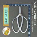 盆栽バサミ 盆栽 剪定ばさみ 東京 芳光 本職用 盆栽用具 枝切ばさみ 剪定バサミ 剪定鋏 せんていばさみ はさみ 枝きりばさみ 剪定はさみ 枝切りバサミ盆栽の...