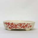盆栽鉢 文山 越前文山 小型 長辺 約 13.3cm 楕円鉢 赤絵 竹 花 観賞用 現品 新品 送料無料