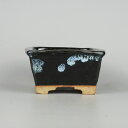 盆栽鉢 大山 19 大久保 欣三郎 小型 長辺 約12cm 正方鉢 釉薬 現品 新品 送料無料