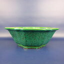 盆栽鉢 常滑 鴻陽造 中型 長辺 約30cm 輪花鉢 外縁 切足 緑釉 現品 新品 送料無料