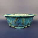 盆栽鉢 常滑 樹晃 鴻陽陶園 小型 長辺 約16.4cm 木瓜鉢 外縁 釉薬 現品 新品