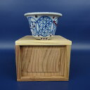 盆栽鉢 たかこ 小鉢 長辺 約7cm 丸鉢 外縁 色絵 箱付 現品 新品