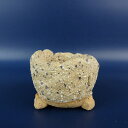 盆栽鉢 竹鳳 落款なし 小鉢 長辺 約 5.9cm 丸鉢 釉薬 現品 新品