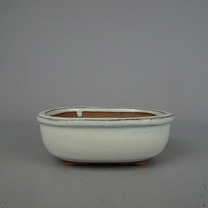 盆栽鉢 落款なし 小型 長辺 約 12.5cm 楕円鉢 釉薬 中国鉢 新品 数量物