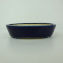 盆栽鉢 青香 小型 長辺 約14.8cm 楕円鉢 釉薬 現品 送料無料