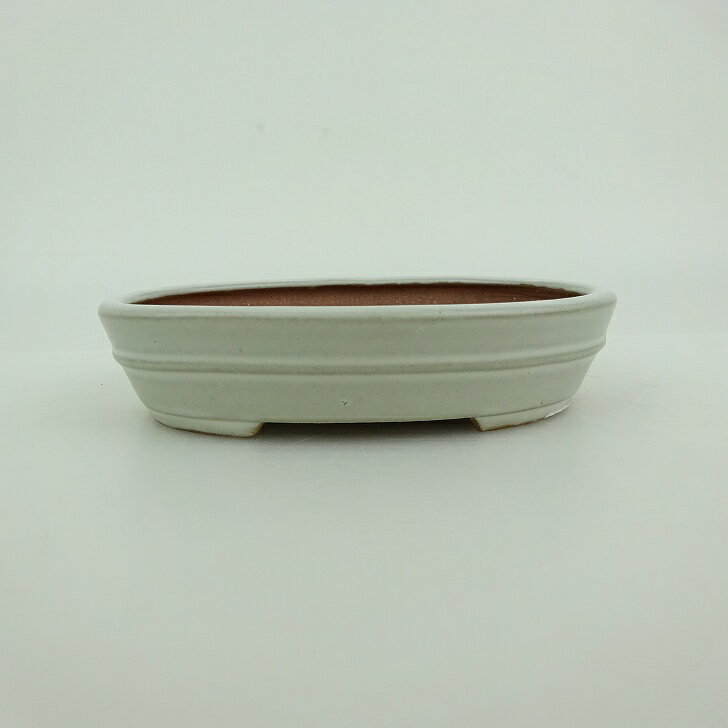 盆栽鉢 青香 小型 長辺 約10cm 楕円鉢 中帯 釉薬 現品 送料無料