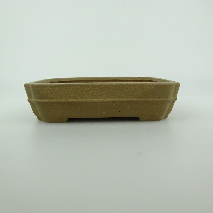 盆栽鉢 青香 小型 長辺 約12cm 長方鉢 隅入 泥物 現品 送料無料