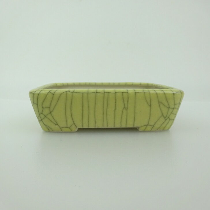 盆栽鉢 青香 小鉢 長辺 約9.4cm 長方鉢 貫入 釉薬 現品 送料無料