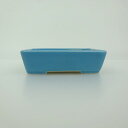 盆栽鉢 青香 小鉢 長辺 約9.2cm 長方鉢 釉薬 現品 送料無料