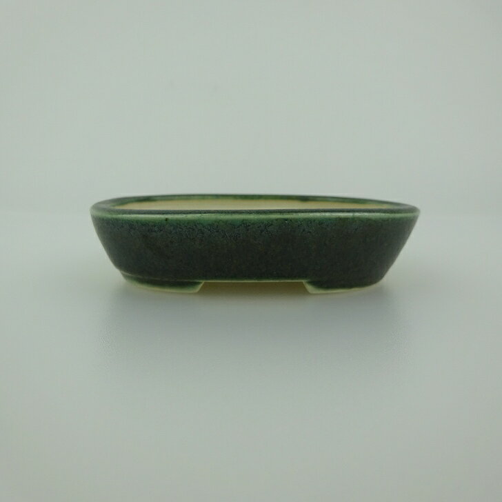 盆栽鉢 青香 小鉢 長辺 約8.5cm 楕円鉢 釉薬 現品 送料無料