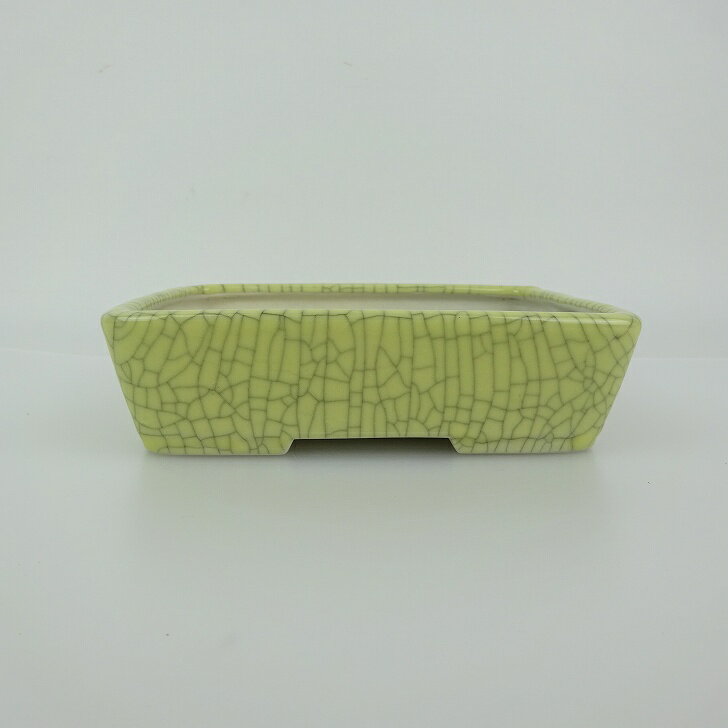 盆栽鉢 青香 小型 長辺 約14.8cm 長方鉢 貫入 釉薬 現品 送料無料