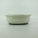 盆栽鉢 万古焼 萬古 中型 長辺 約21cm 楕円鉢 縁付 釉薬 新品 数量物