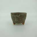 盆栽鉢 信楽焼 小鉢 長辺 約7.3cm 丸鉢 信楽 楽風 鉢 釉薬 観賞用 現品 新品