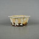 盆栽鉢 桂雲 福田桂雲 中型 長辺 約 20.5cm 六角鉢 外縁 下帯 釉薬 現品 新品 送料無料