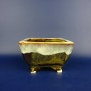 盆栽鉢 桂雲 福田桂雲 小型 長辺 約 12cm 正方鉢 釉薬 現品 新品 送料無料