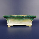 盆栽鉢 桂雲 福田桂雲 小型 長辺 約15.7cm 長方鉢 外縁 釉薬 現品 新品 送料無料