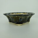 盆栽鉢 桂雲 福田桂雲 小型 長辺 約18cm 木瓜鉢 外縁 釉薬 現品 新品 送料無料