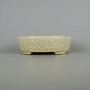 盆栽鉢 里美 寺畑陶園 小型 長辺 約 16cm 楕円鉢 白貫入 小判 釉薬 新品 数量物 送料無料
