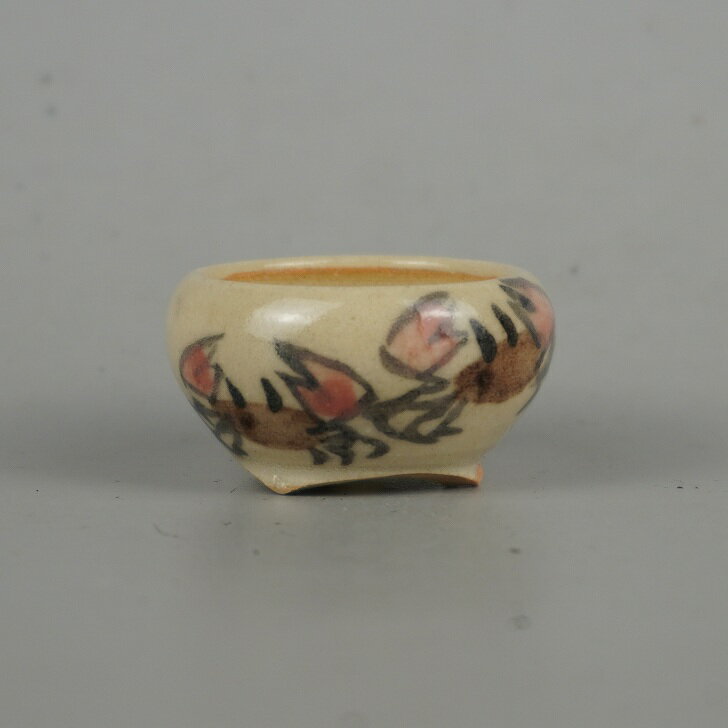 ߺȭ   Ʀȭ Ĺ 4cm ȭ    ˥ߥȭ Ѿ   ̵