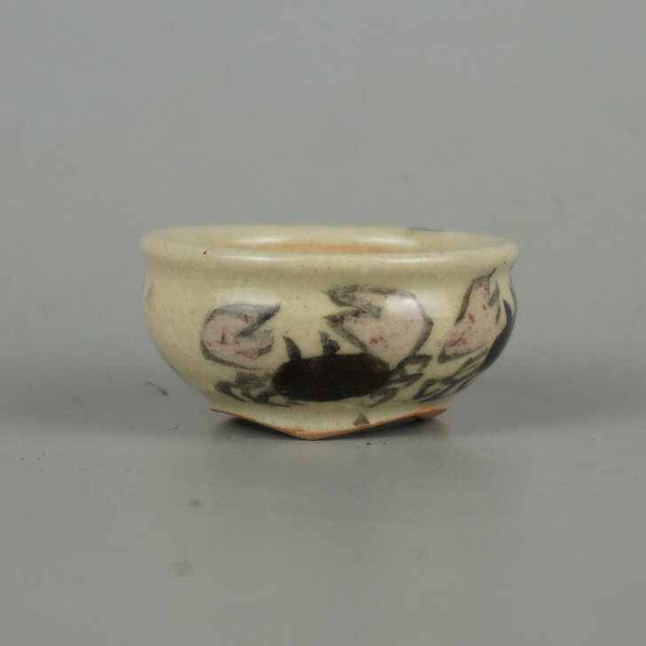 ߺȭ   Ʀȭ Ĺ 4.1cm ȭ     ߥȭ Ѿ   ̵