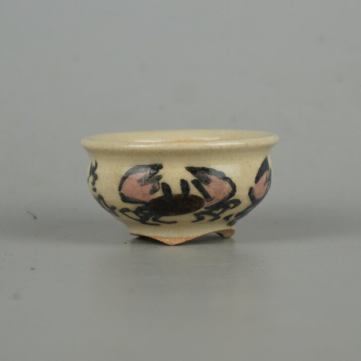 ߺȭ   Ʀȭ Ĺ 4.3cm ȭ     ߥȭ Ѿ   ̵