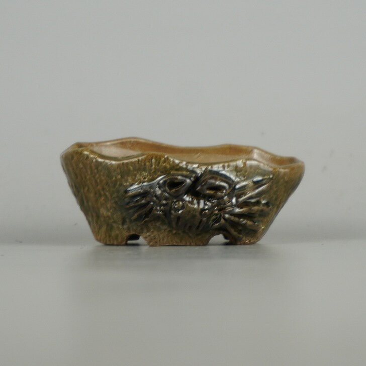 ߺȭ ƻ ȭ Ĺ  7.3cm ѷ ʱȭ     Ѿ   ̵