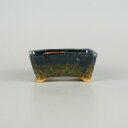 盆栽鉢 ゆうき祥石 小鉢 長辺 約 8.5cm 長方鉢 釉薬 新品 数量物