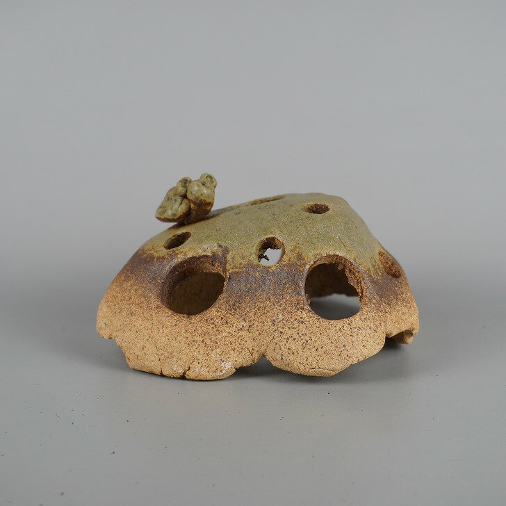 【中古】 信楽焼 めだかの家 長辺 約 17.5cm 変形 ドーム型 亀付 かめ カメ 水景 水槽 水鉢 飾り 景色 小魚 メダカハウス 隠れ家 憩い アクアリ...