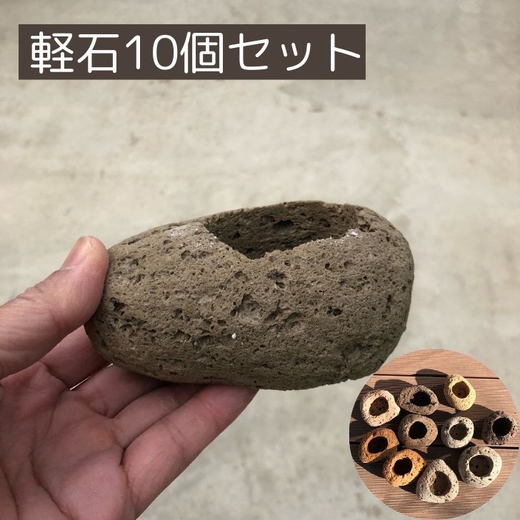 盆栽鉢 軽石 付石 盆栽 苔盆栽 テラリウム bonsai 山野草 セレクト 数量物 10個セット 送料無料