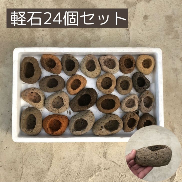 楽天市場】苔 軽石(植木鉢|植木鉢・プランター 楽天市場】苔 軽石(植木鉢|植木鉢・プランター