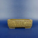 【中古】盆栽鉢 高雄香葉 小鉢 長辺 約 9cm 長方鉢 切足 現品 中古鉢 送料無料