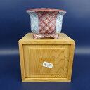 【中古】盆栽鉢 裕峯 小型 長辺 約9.2cm 丸鉢 外縁 色絵 箱付 現品 中古鉢 送料無料