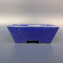 【中古】盆栽鉢 常滑 柴勝 小鉢 長辺 約7cm 長方鉢 釉薬 現品 中古鉢 送料無料