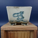 【中古】盆栽鉢 落款なし 小鉢 長辺 約5.3cm 正方鉢 染付 鳥獣戯画 蛙 兎 箱付 観賞用 現品 中古鉢