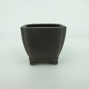 【中古】盆栽鉢 青香 小鉢 長辺 約6.5cm 正方鉢 隅入 雲足 下帯 泥物 現品 中古鉢