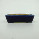 【中古】盆栽鉢 青香 小鉢 長辺 約9.5cm 長方鉢 釉薬 現品 中古鉢 送料無料