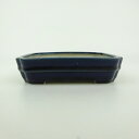 【中古】盆栽鉢 青香 小型 長辺 約 12.1cm 長方鉢 中帯 隅入 釉薬 現品 中古鉢 送料無料