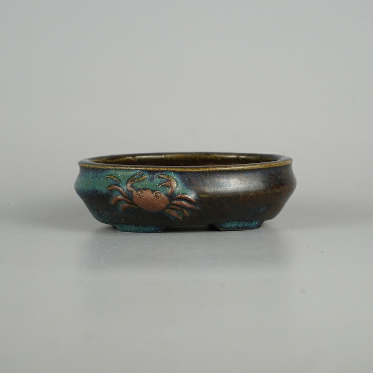 š ߺȭ 컳  Ĺ  12.2cm ʱȭ     Ѿ  ȭ