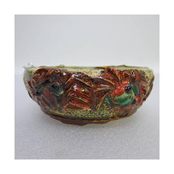 盆栽鉢 正志 新品 送料無料